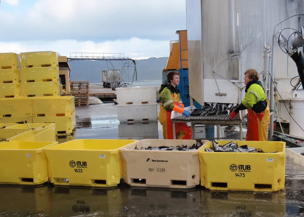 Fishing Industry Handling Equipment | Inoxtruck by ULMA Lifting